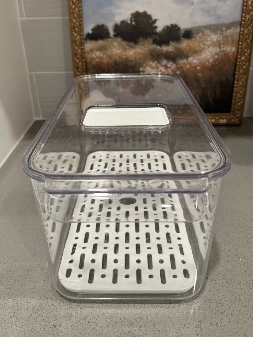 Clear Plastic Kitchen Storage Container with White Drain Tray